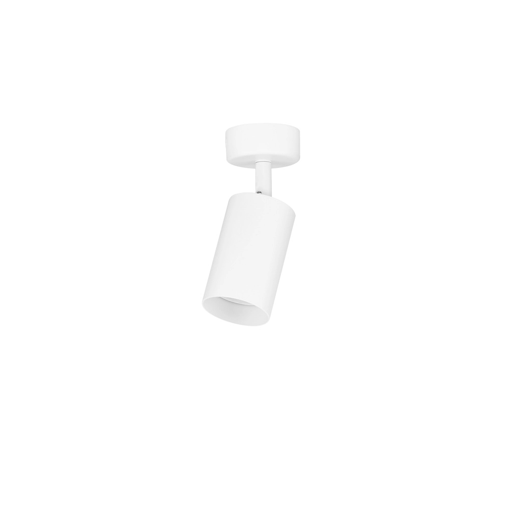Spot de plafond Reig Uniquement blanc Lyora 5212017477910
