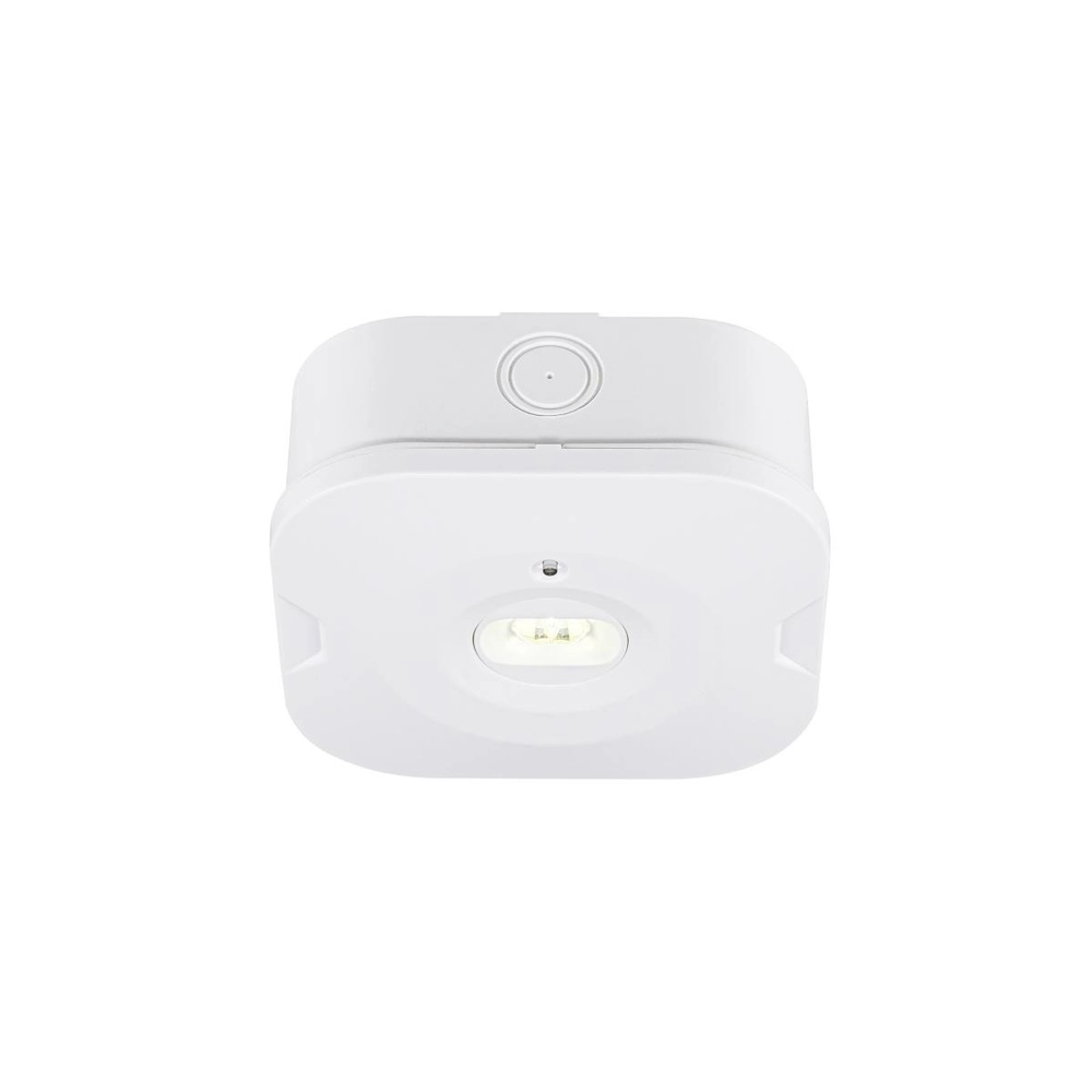 Éclairage des issues de secours P-Light Éclairage de secours SLV 4024163315166
