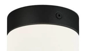 Plafonnier salle de bain Ø 10cm Cayo Lyora 5903139805599