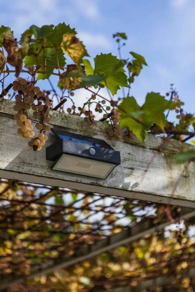 Applique solaire Arrow anthracite Lutec 6939412046402