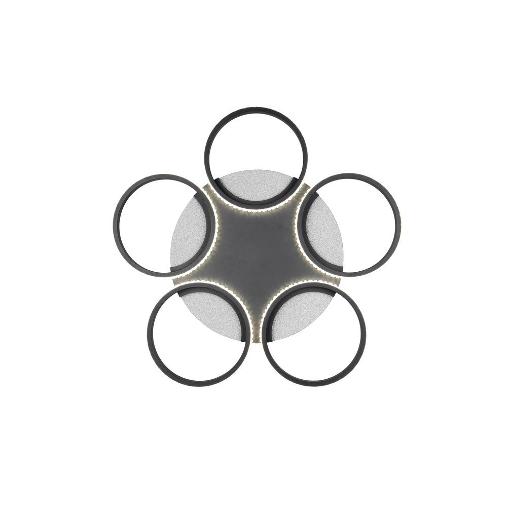 Lampe de plafond Lumer Noir Trio 4017807706390
