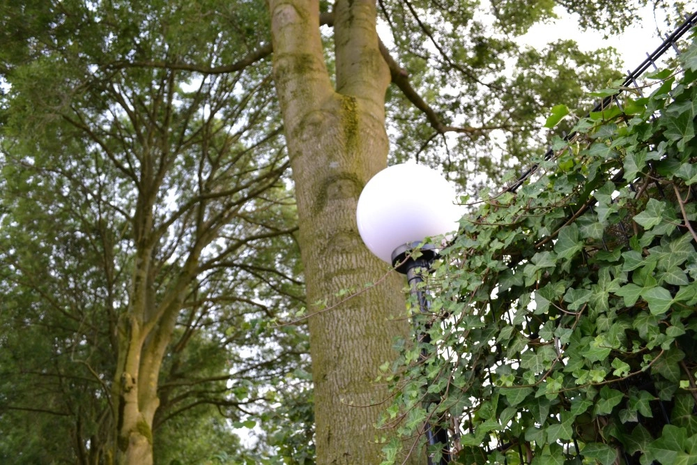 Lampe boule Bolano 20cm. Lyora 8716803507319