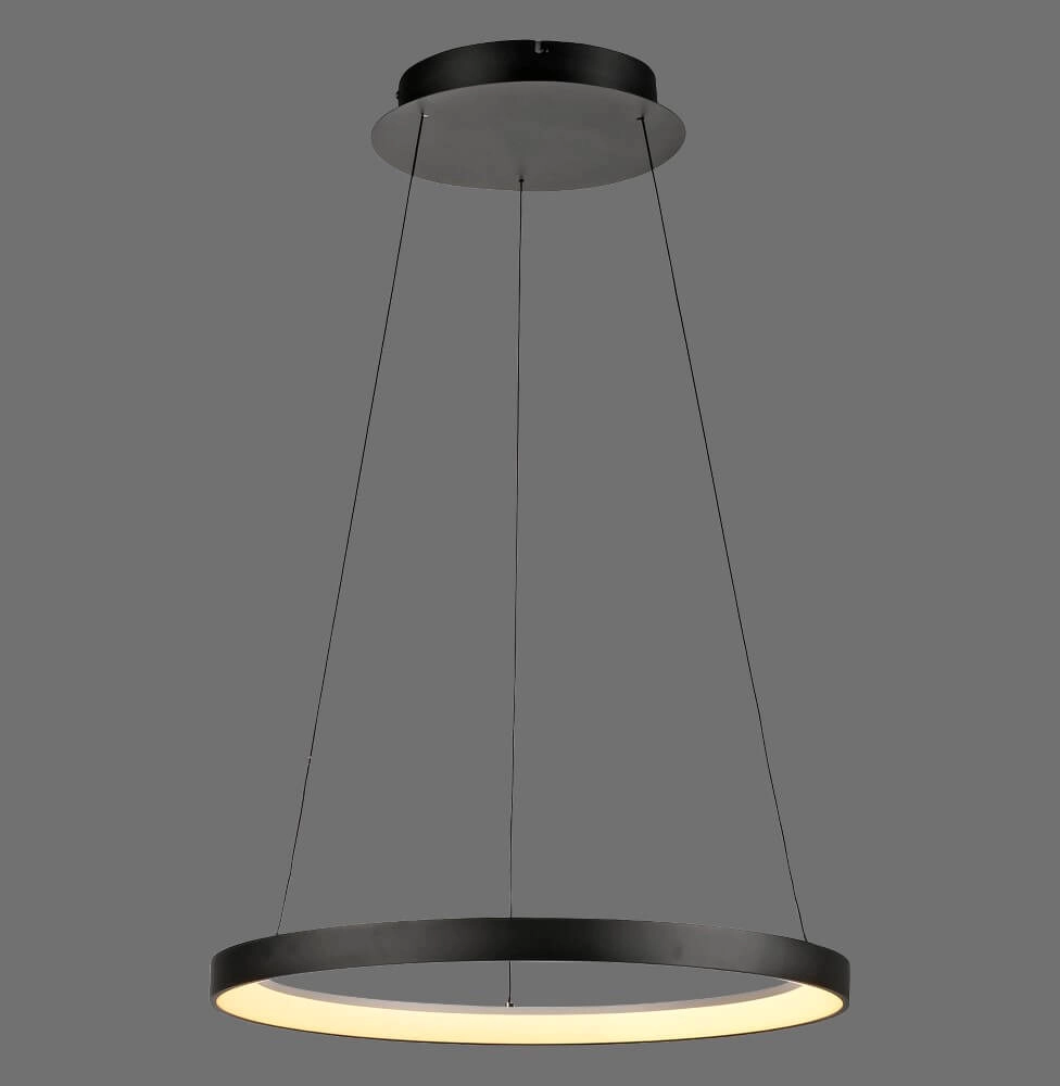 Lampe suspendue ronde Hoop noir Paul Neuhaus 4012248384695