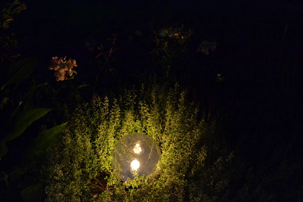 Lampe ampoule Bolano 25cm. Clair de base Lyora 8716803501331