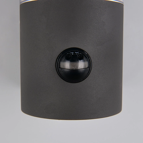 Lampe murale Tagus anthracite avec capteur Trio 4017807686821