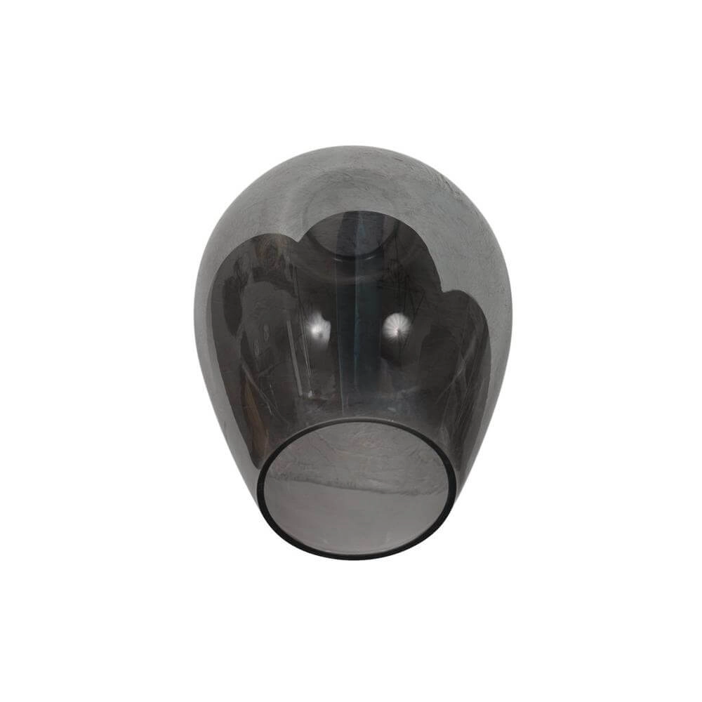 Suspension HaloSwap avec 1 verre à fumée Ø 15cm Steinhauer 8712746179712