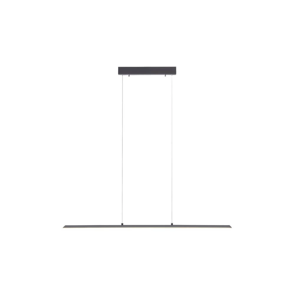 Lampe suspendue design Pure Lite 100 cm anthracite Paul Neuhaus 4012248344873