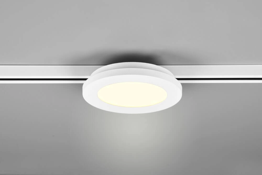 Lampe sur rail Camillus Biphasé 17cm - 3000K blanc Trio 4017807505962