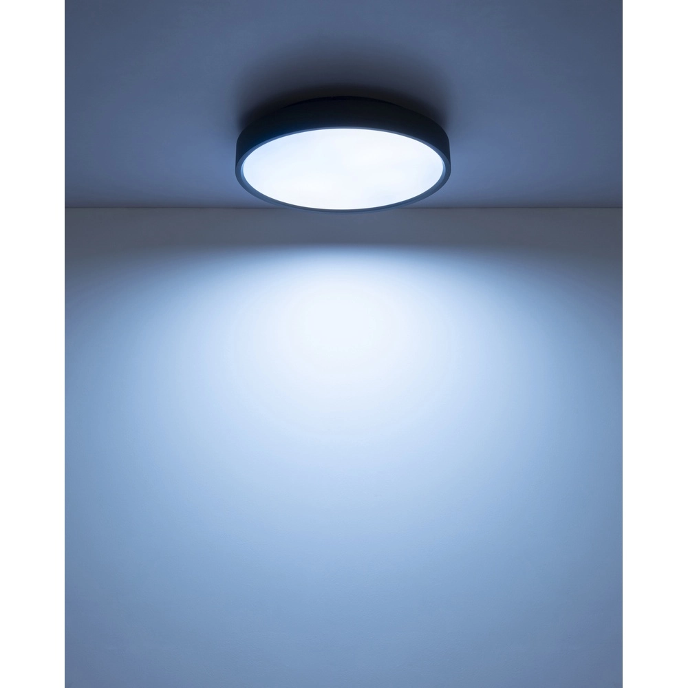 Éclairage de plafond Jess Noir Globo 9007371592470