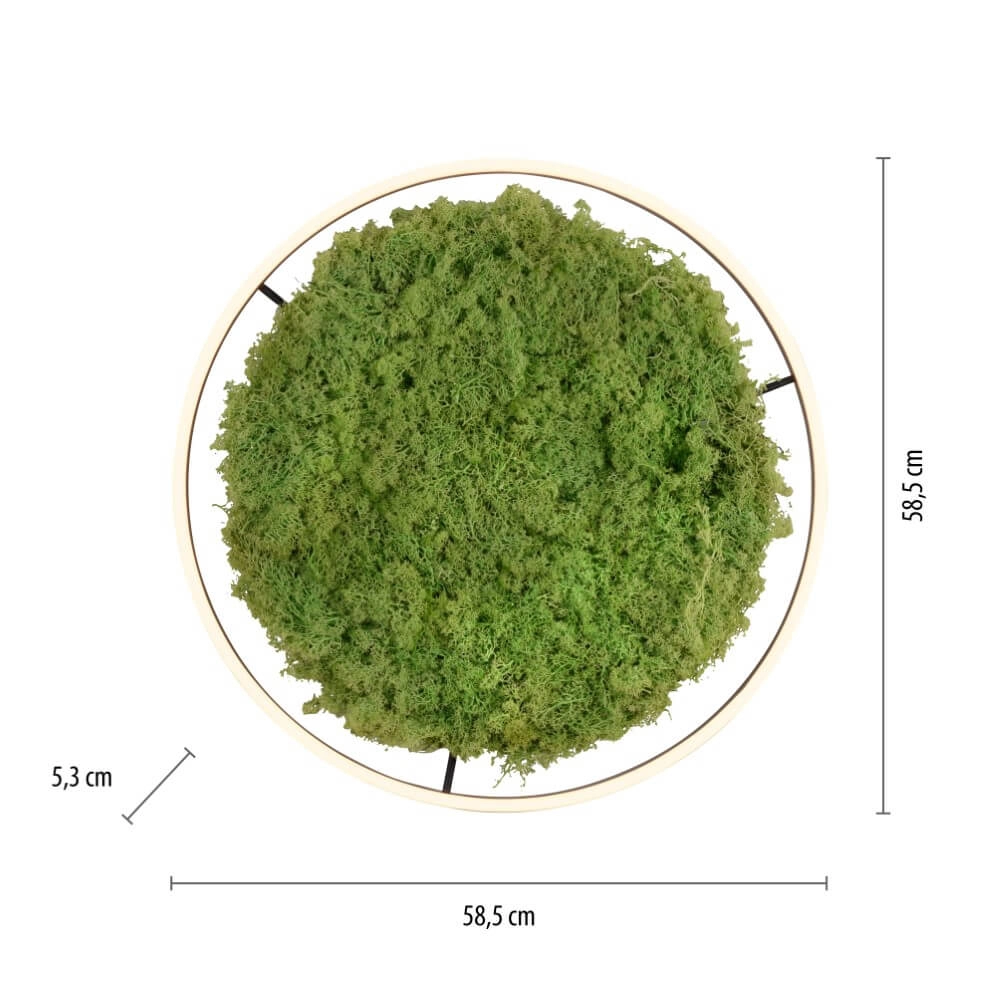 Plafonnier Green Ritus avec mousse Ø 58,5cm Just Light 4043689994808