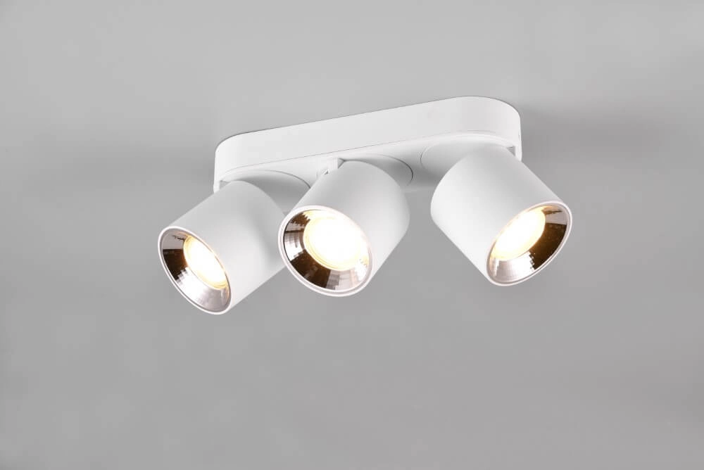 Plafonnier Guayana 3 lumières blanc Trio 4017807573985