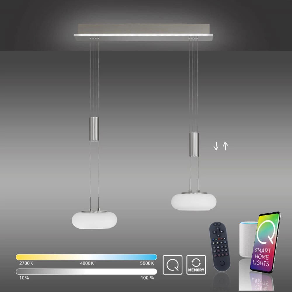 Lampe suspendue 2 lumières Q-Etienne métal Paul Neuhaus 4012248350409