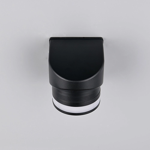 Lampe murale Cusco S noir Trio 4017807687507