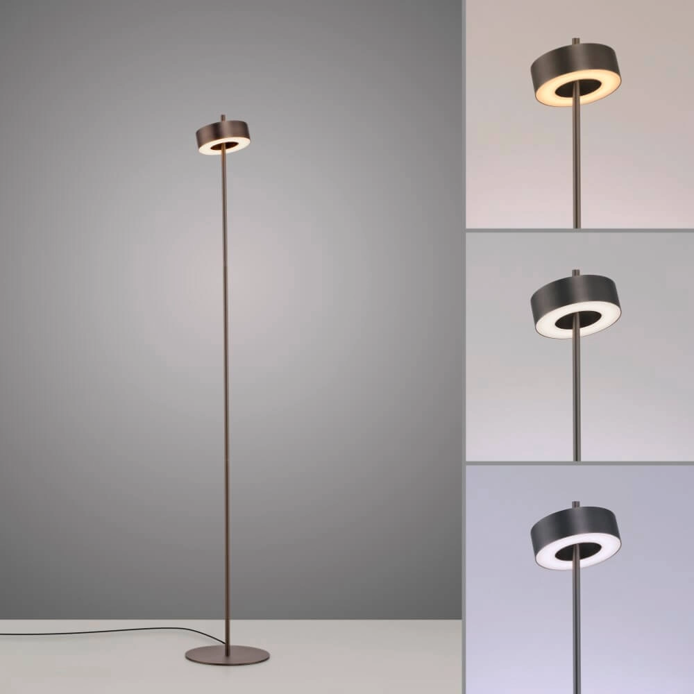 Lampadaire Q-Rotate marron de créateur Paul Neuhaus 4012248383230