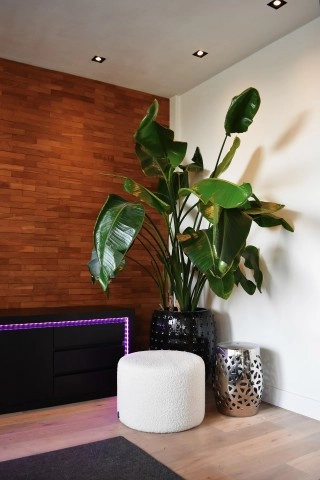 Smart home Led stripe 5M nuances de blanc et RVB Circle 8712879149217