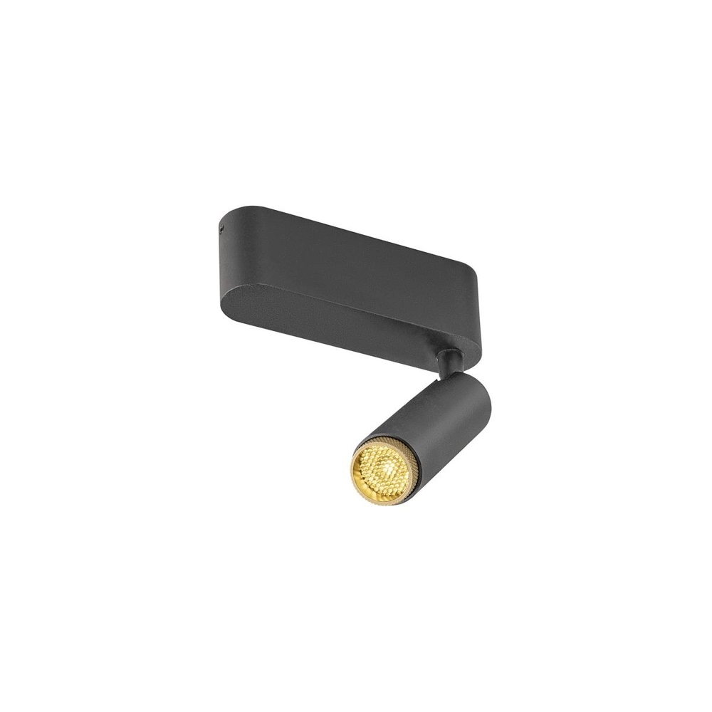 Spot monté en surface Grip! S noir avec or 3000K