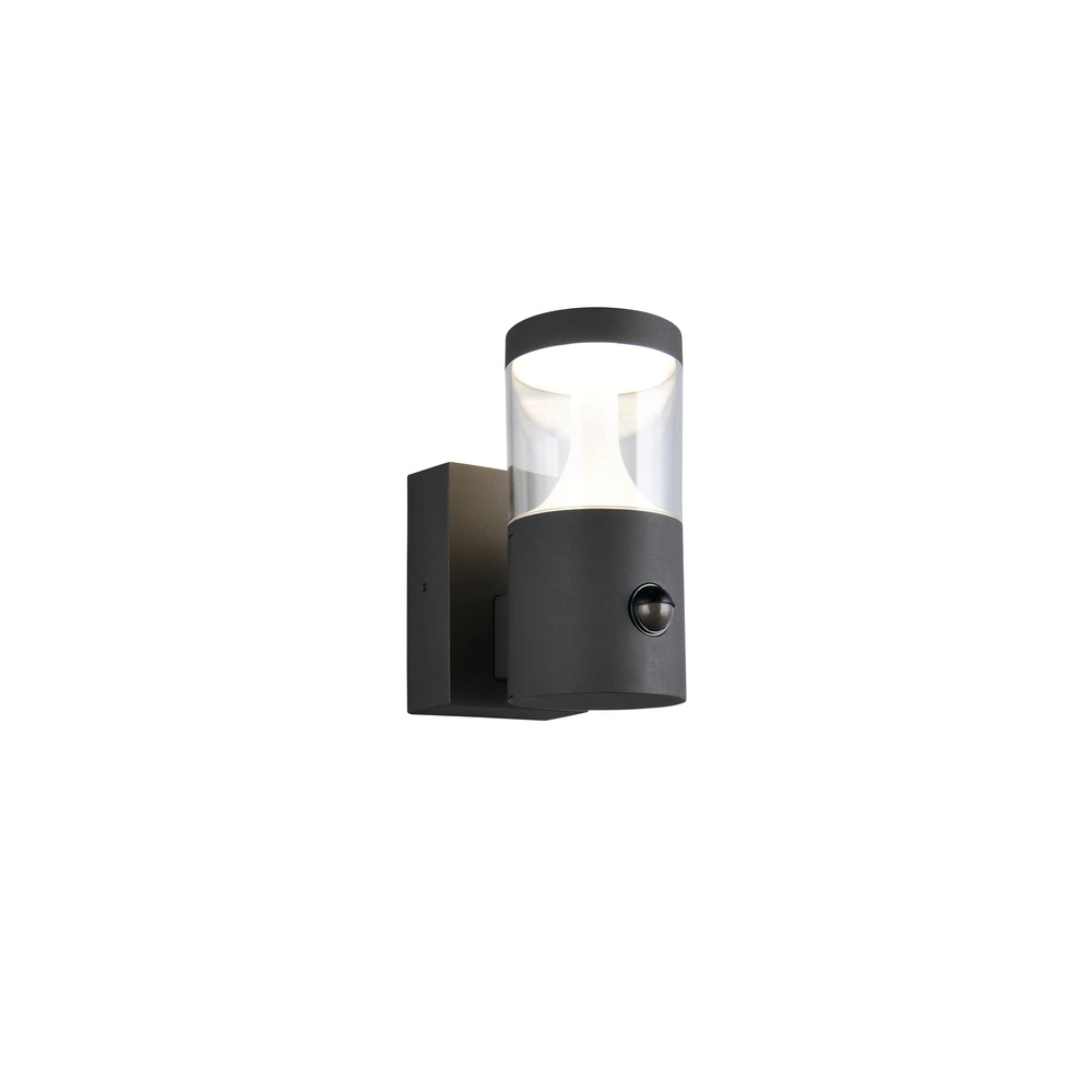 Lampe murale Tagus anthracite avec capteur Trio 4017807686821