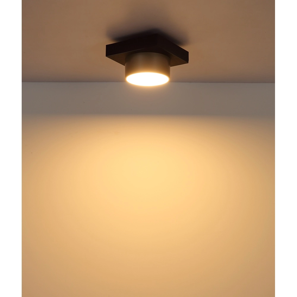Lampe de plafond Raymond noir avec du champagne Globo 9007371569373