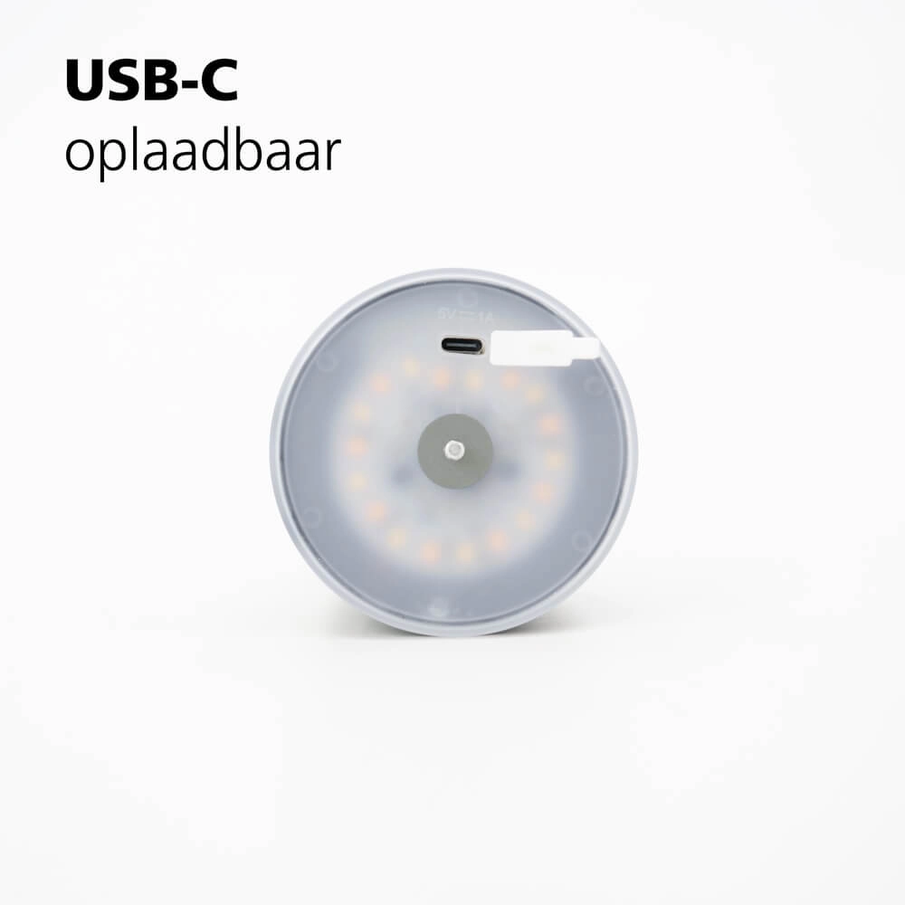 Lampe de table Mannera Gris rechargeable Eglo 9008606355525
