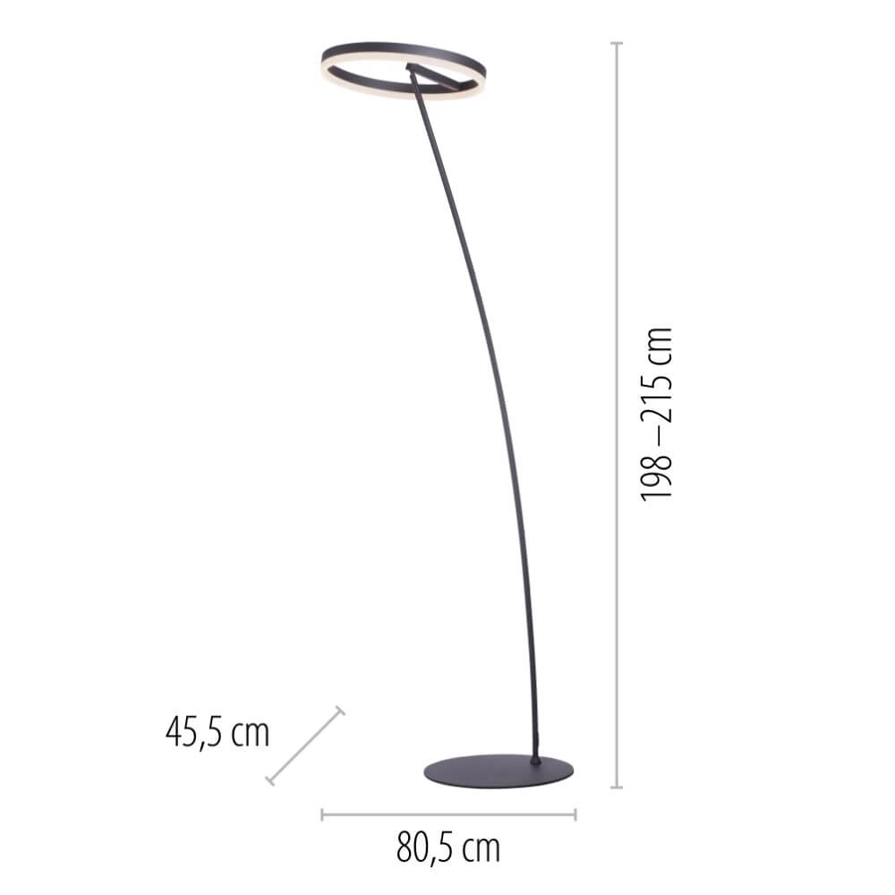 Lampadaire anthracite Titus moderne Paul Neuhaus 4012248357637