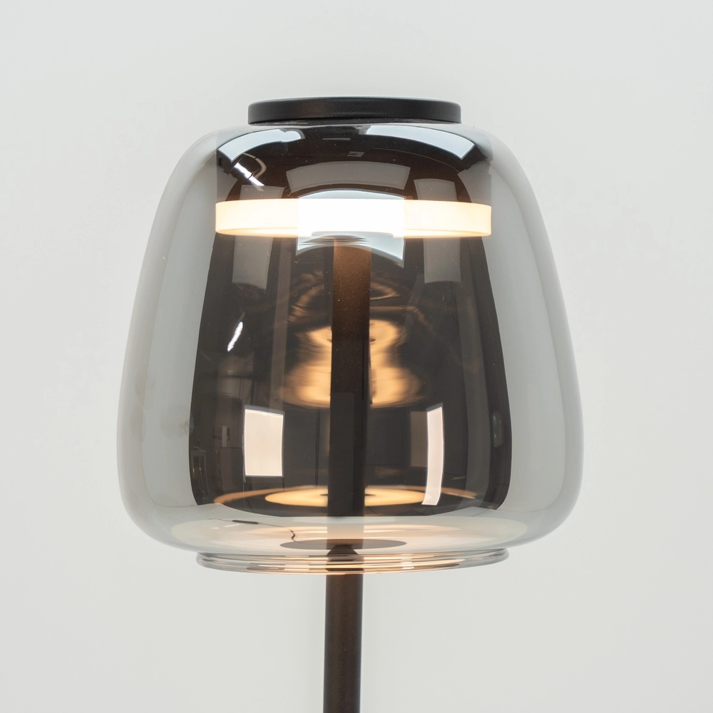 Lampe de pied Alfero-Z Smoke Glass - Contrôle par application Eglo 9008606312870