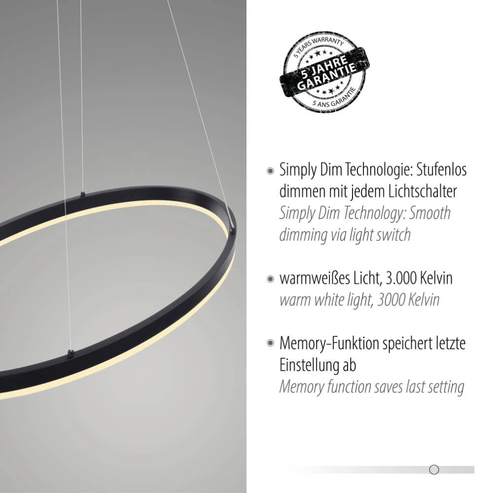 Lampe à suspension anthracite Titus Ø80cm Paul Neuhaus 4012248375211