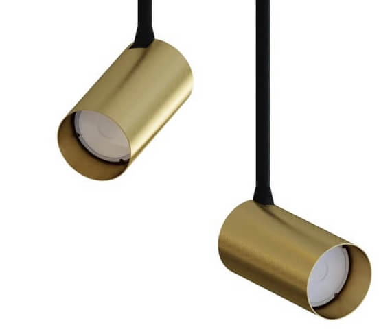 Spot en saillie doré Mono Long 2 lumières Lyora 5903139773393