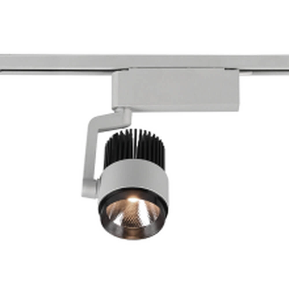 Moquerie Radiator titane Trio 4017807505924