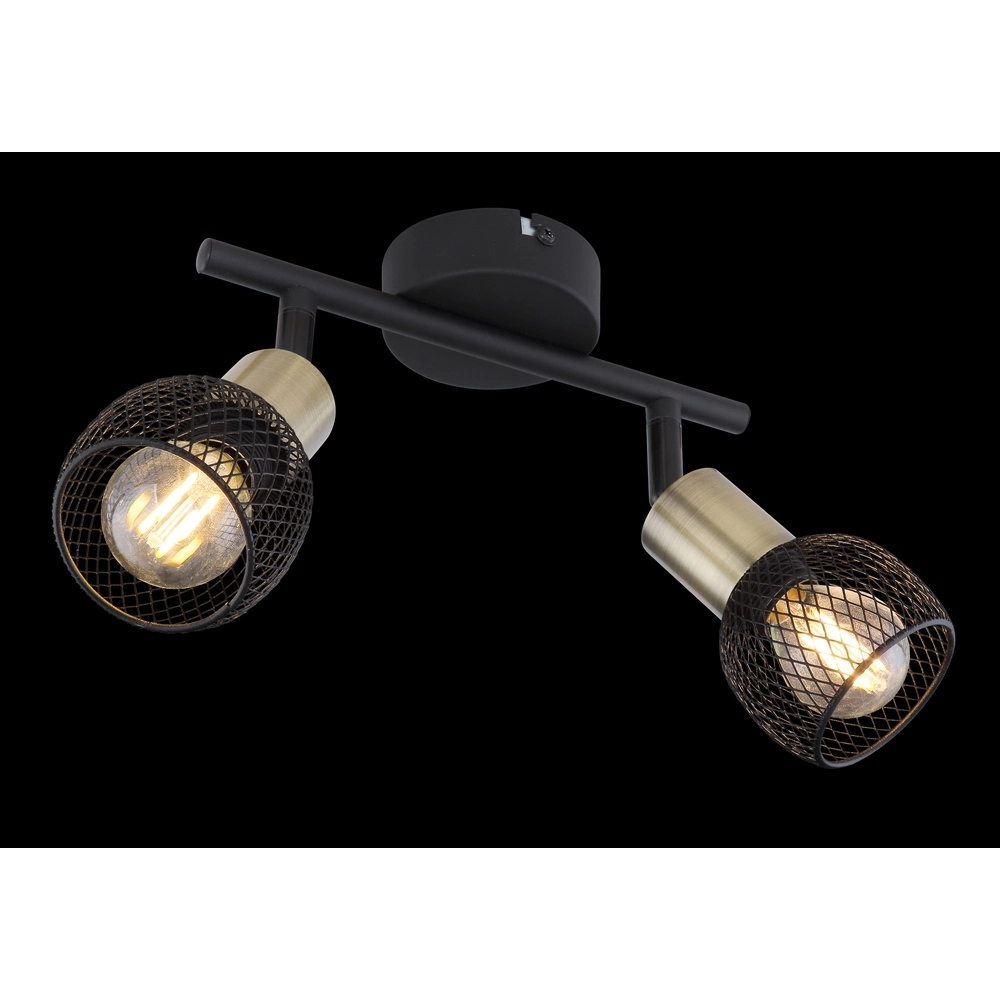 Lampe de plafond Fiastra Noir 2 clairs avec maillage Globo 9007371415120