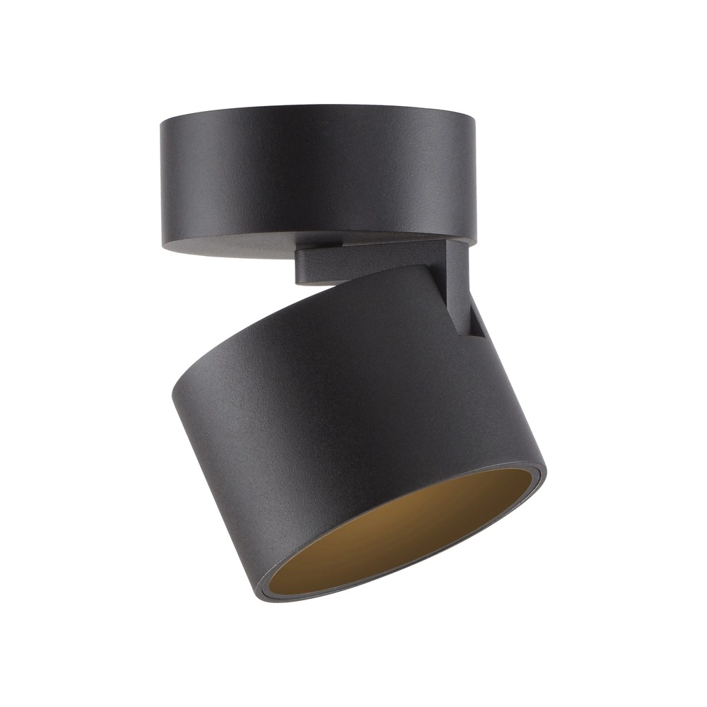 Spot lisse monté en surface Pure Cup Black Pearl Paul Neuhaus 4012248395585