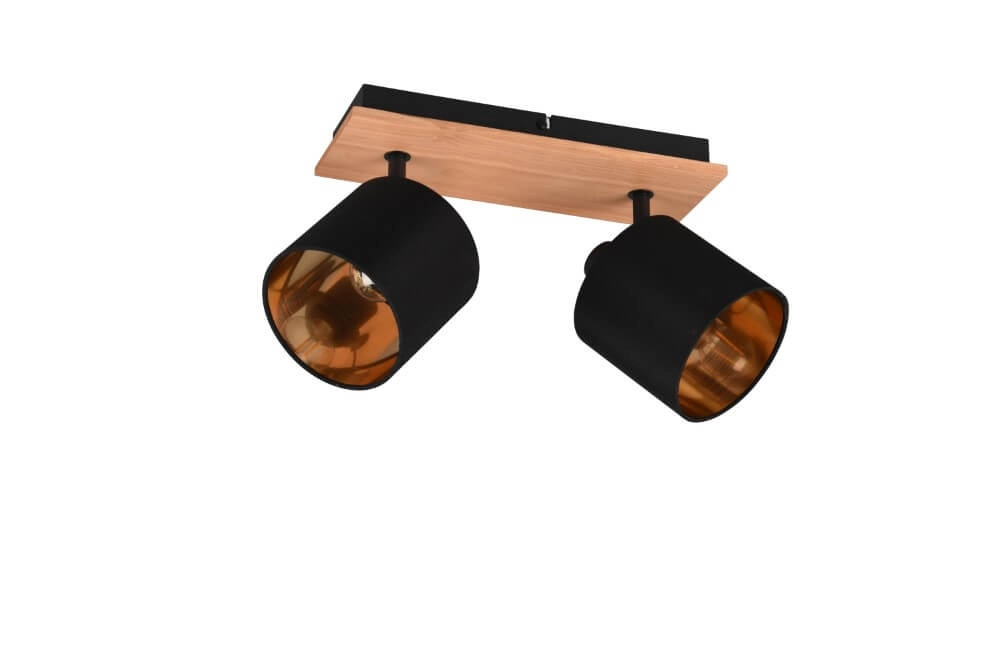 Spot de plafond rural Tommy 2 lumières Trio 4017807542561