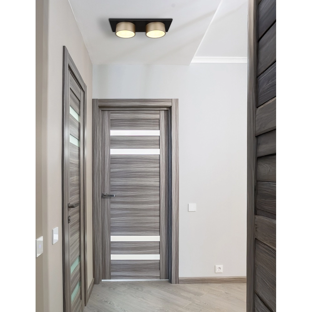 Lampe de plafond à deux lumières Raymond noir avec du champagne Globo 9007371522873