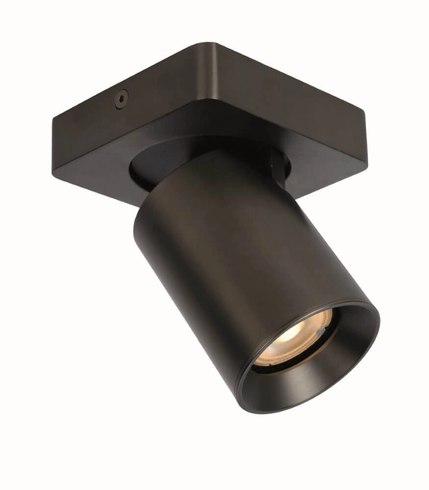 Spot orientable en saillie Megano anthracite