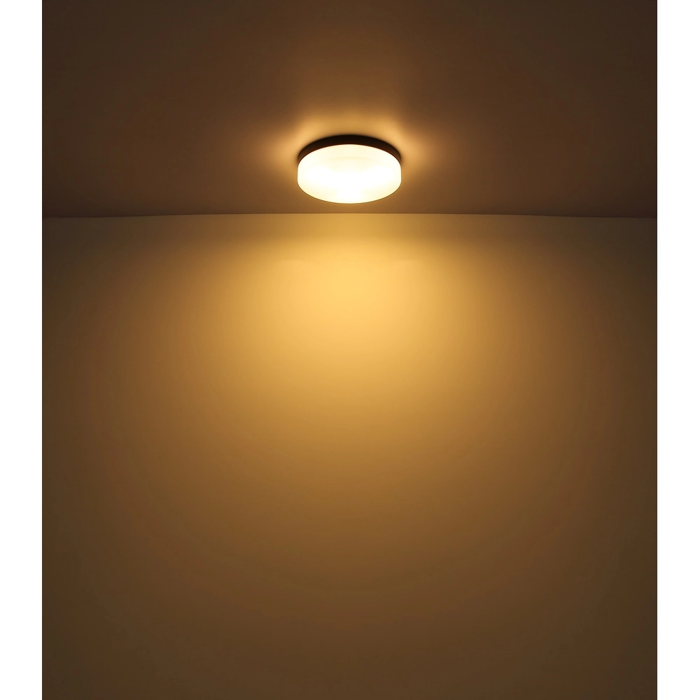 Conception de plafonds Vranos noir pour usage extérieur Ø 18,4 cm Globo 9007371434763