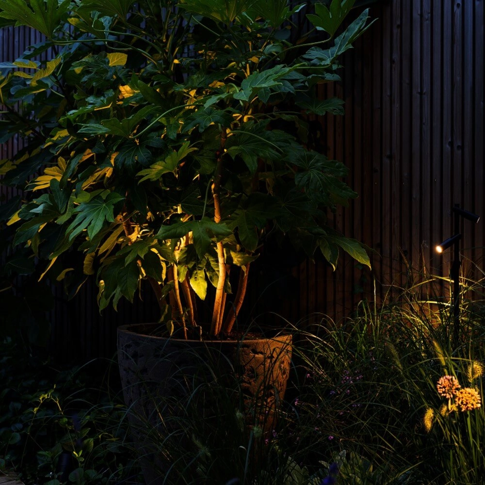 Spot Micro Scope 12 volts In-lite 8717051006579