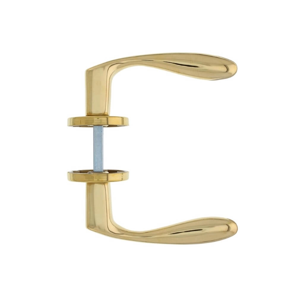 Poignée de porte classique Banaan laiton non laqué Intersteel 8714186485668