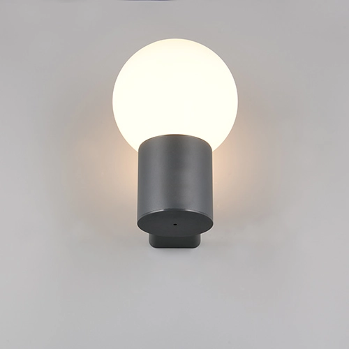 Lampe murale en sphérie Mures anthracite Trio 4017807687187