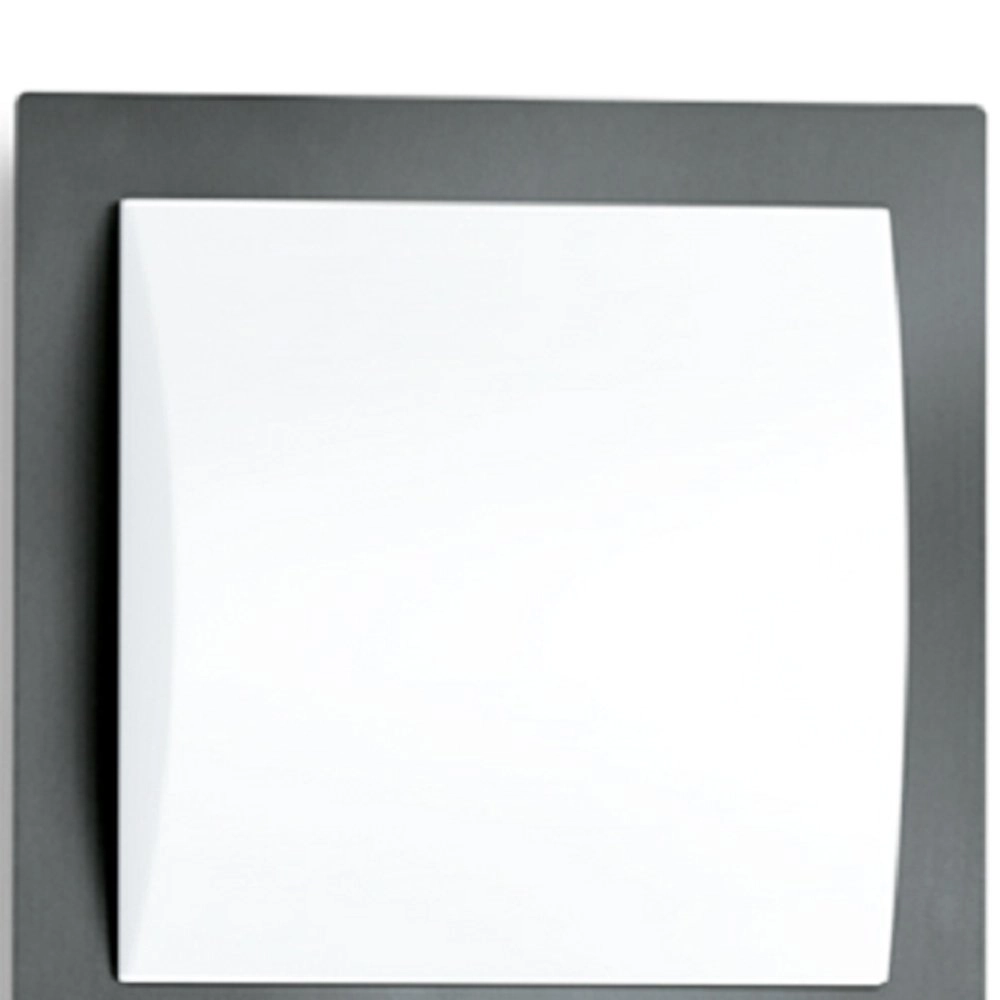 Lampe d'extérieur L 20 S ANT avec capteur de mouvement Steinel 4007841035693