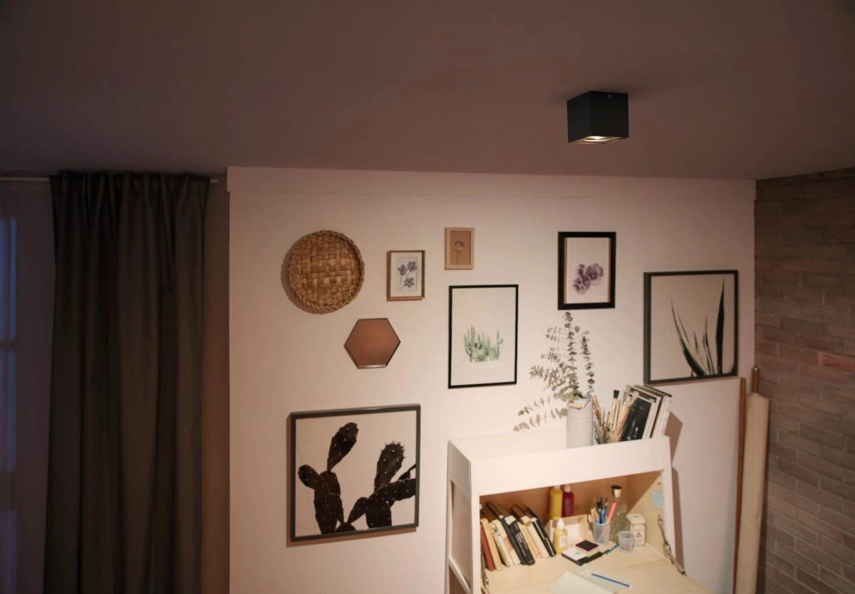 spot Box Philips 8718696164518