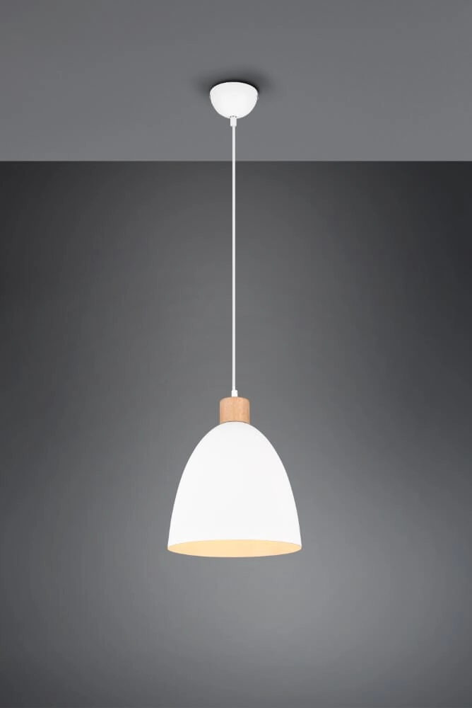 Lampe suspendue Jagger blanc avec du bois marron Trio 4017807503180