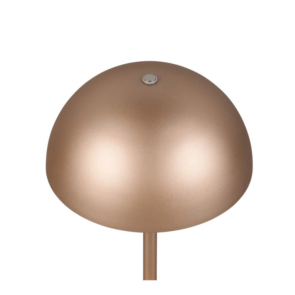 Lampe de table Munoz marron café Ø 13cm Trio 4017807642537