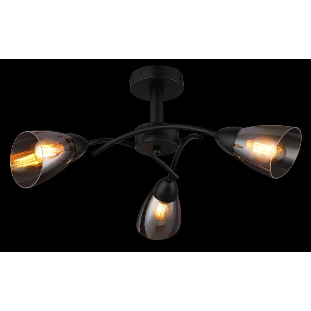 Lampe de plafond noire Paula Conception Globo 9007371589524