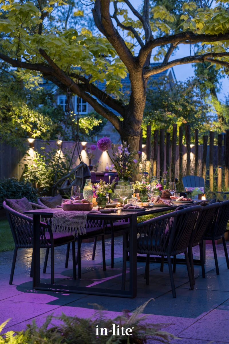 Point de piqûre Smart Scope Tone 12V In-lite 8717051005589