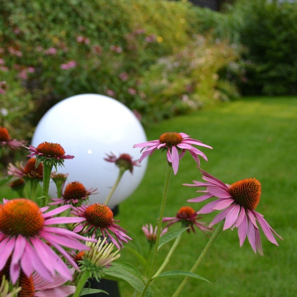 Lampe boule Bolano 20cm. Lyora 8716803507319