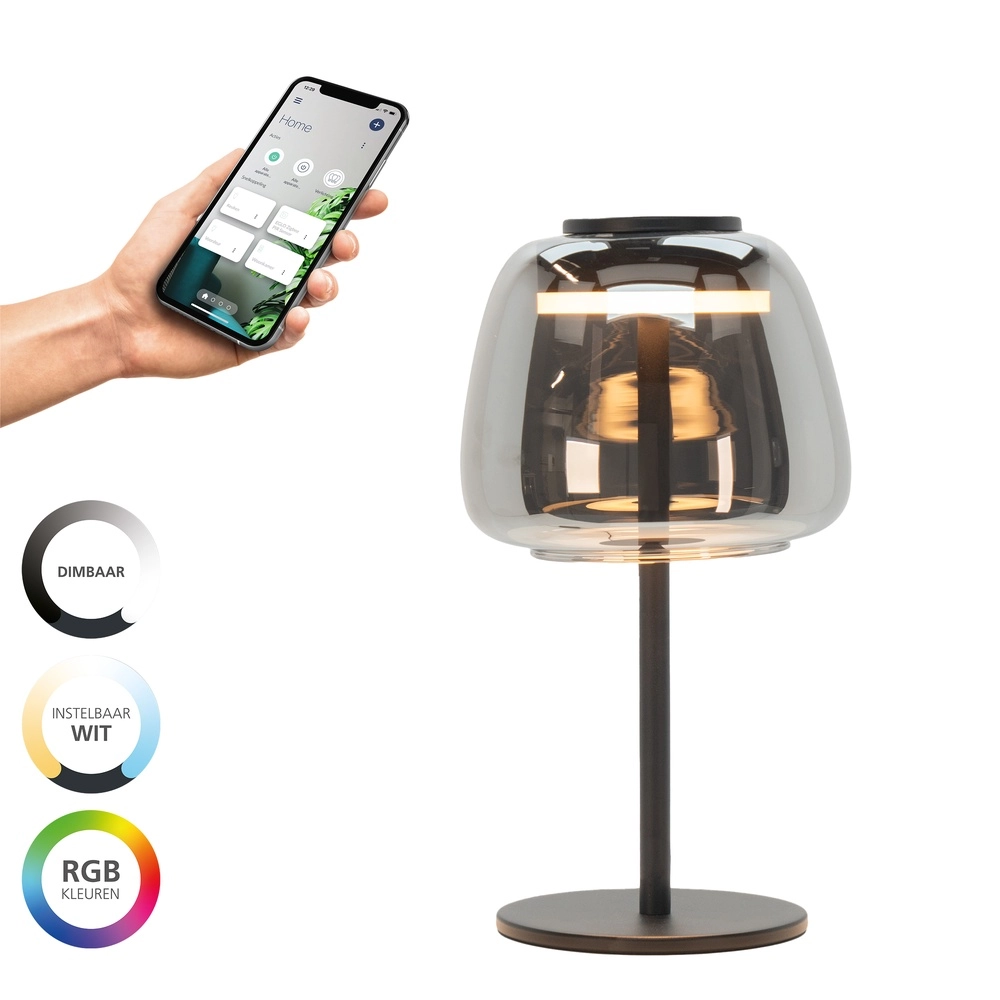 Lampe de table Alfero-Z Smoke Glass - Contrôle par application
