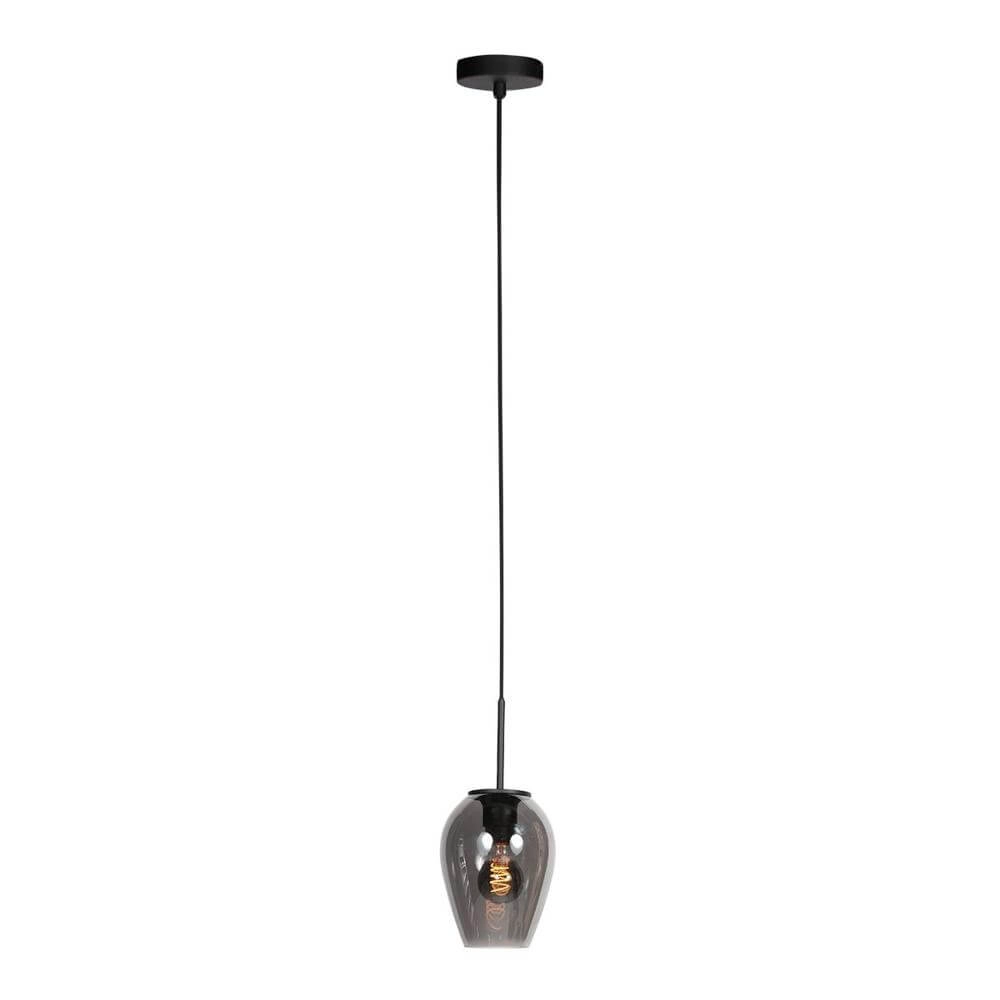 Suspension HaloSwap avec 1 verre à fumée Ø 15cm Suspension HaloSwap avec 1 verre à fumée Ø 15cm