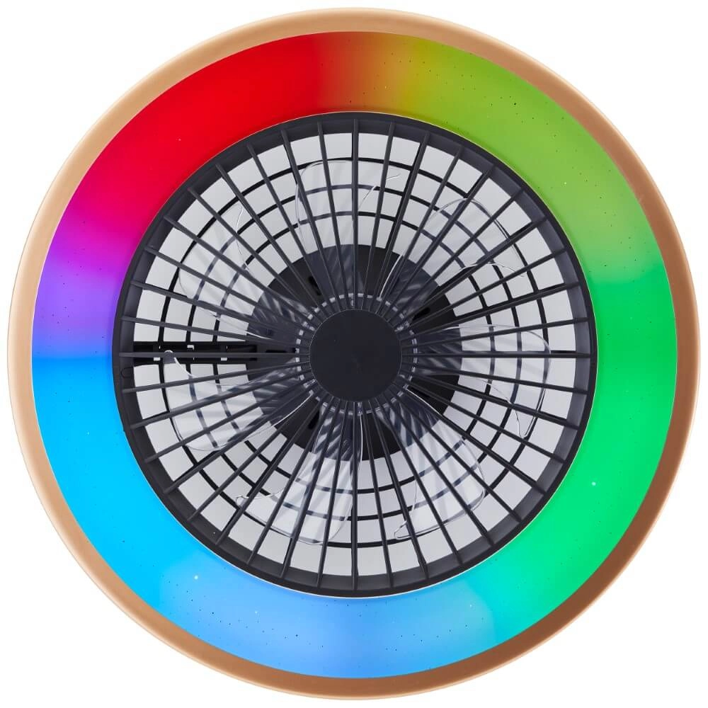 Éventail noir Slimline avec bord doré Brilliant 4004353435874