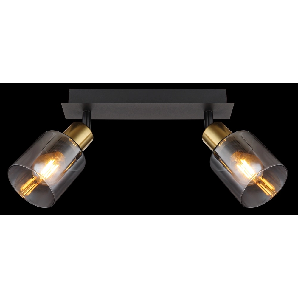 Lampe de plafond à deux lumières Hollsy noir avec verre fumé Globo 9007371445851