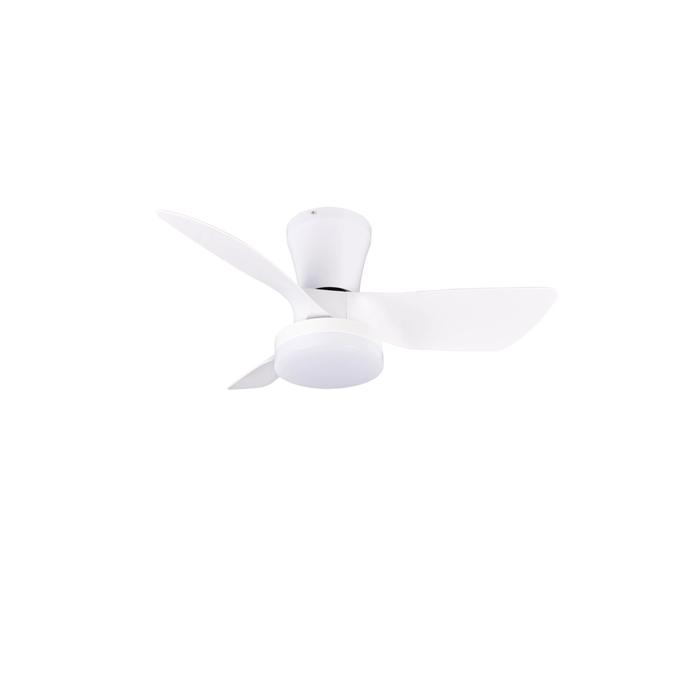 Ventilateur de plafond conçu Randers Blanc Trio 4017807643770