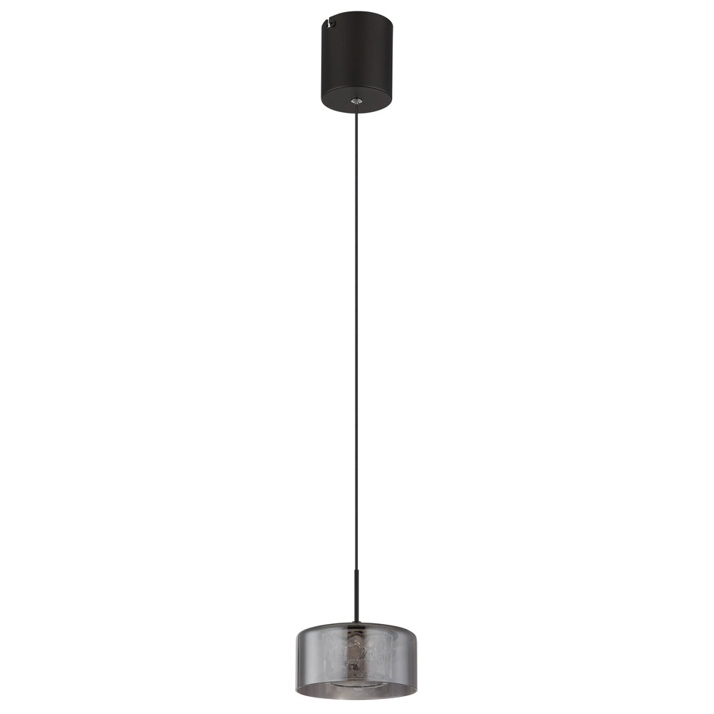 Lampe pendante de conception Fogsy Noir simple avec verre fumé Globo 9007371450381